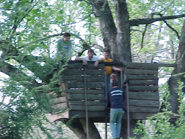 treehouse-gang-lg.jpg